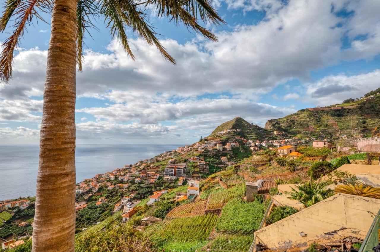 Palm Tree House By Amazing Madeira Câmara de Lobos Exterior foto